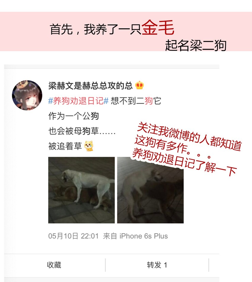 请请请请 假假假假条条条条……2