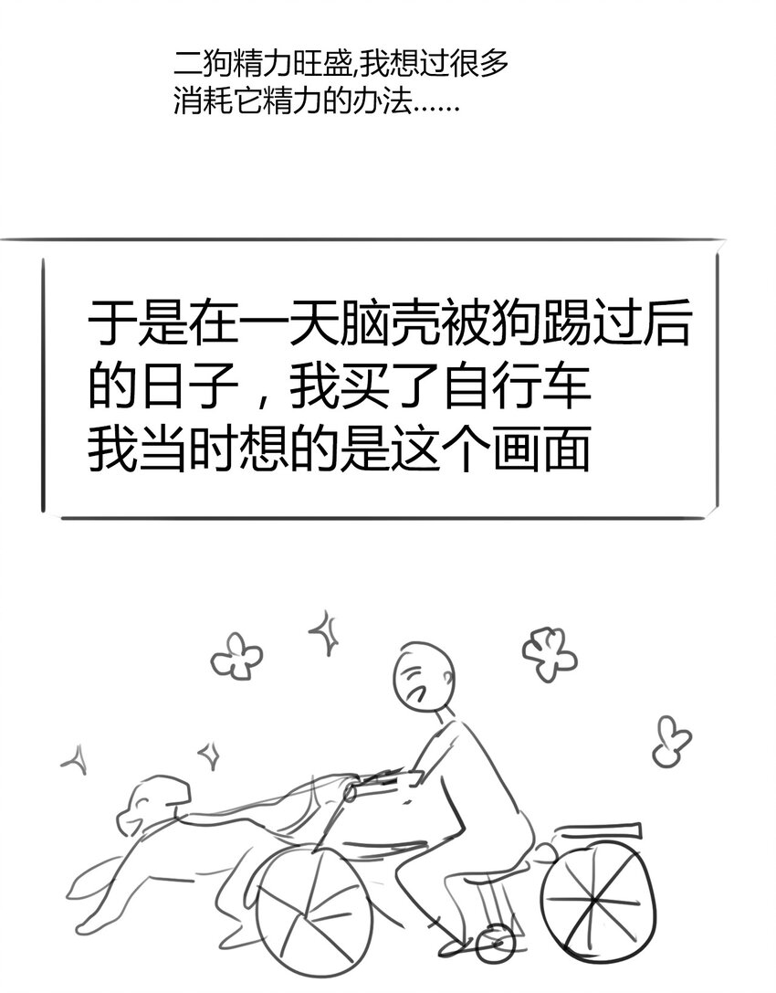 请请请请 假假假假条条条条……4