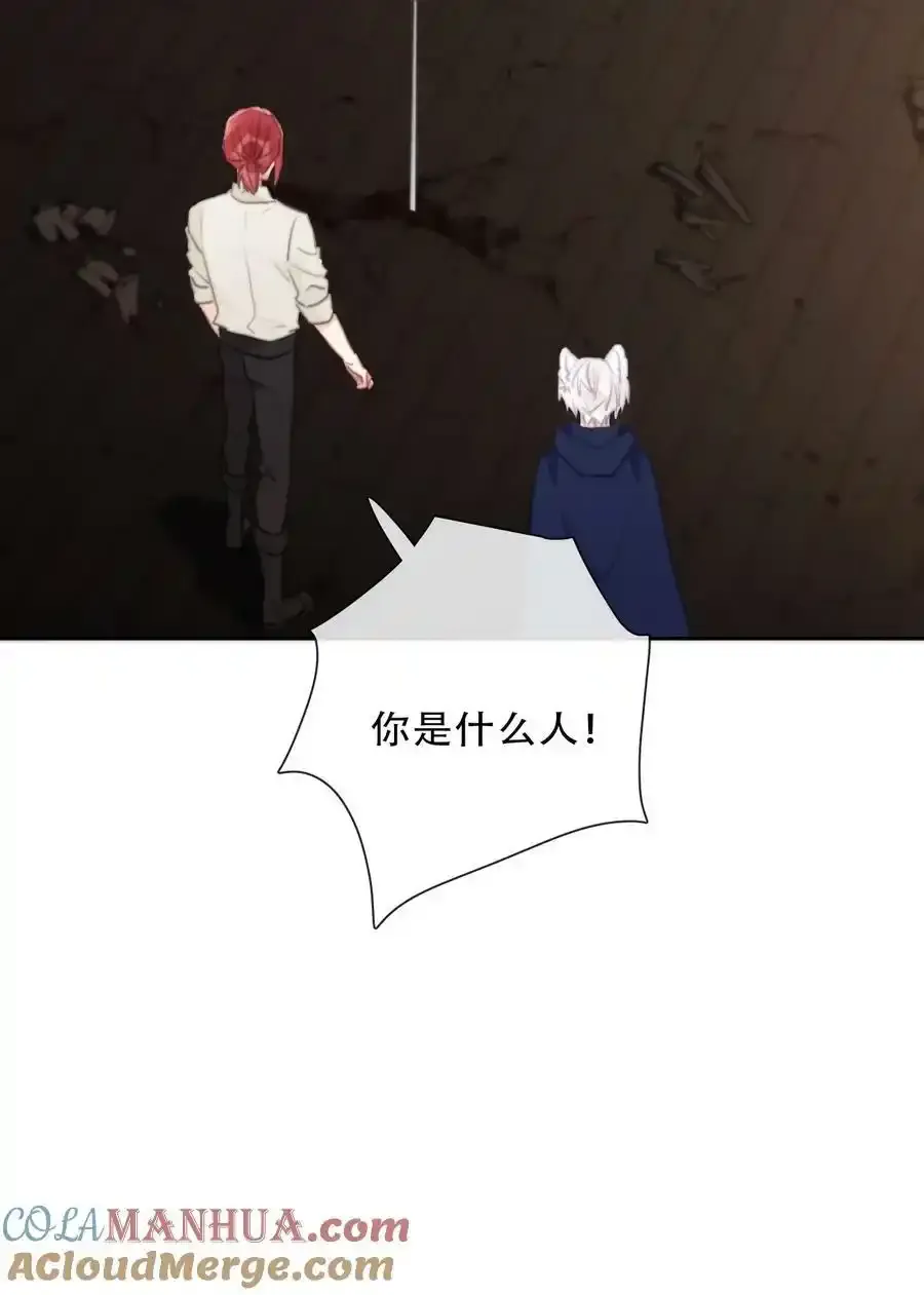 119 突袭拍卖会（3）27