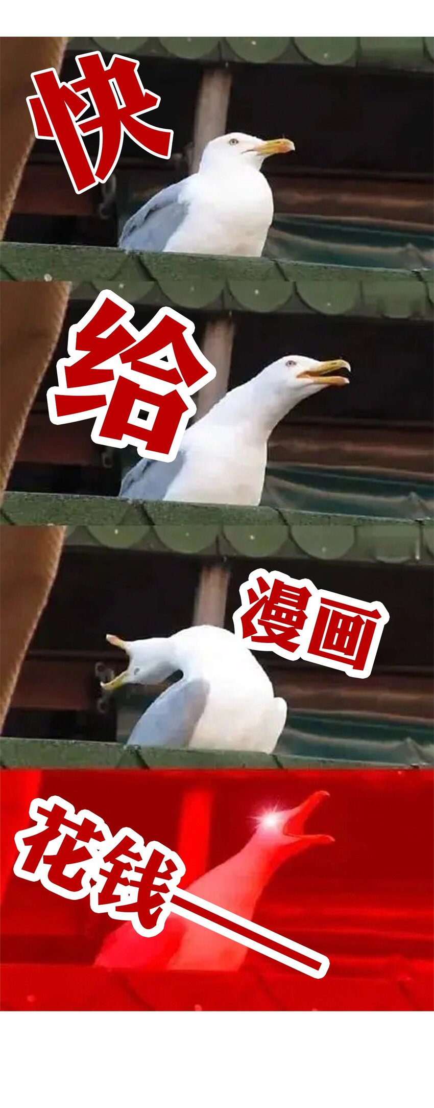 060 不会再逃了57