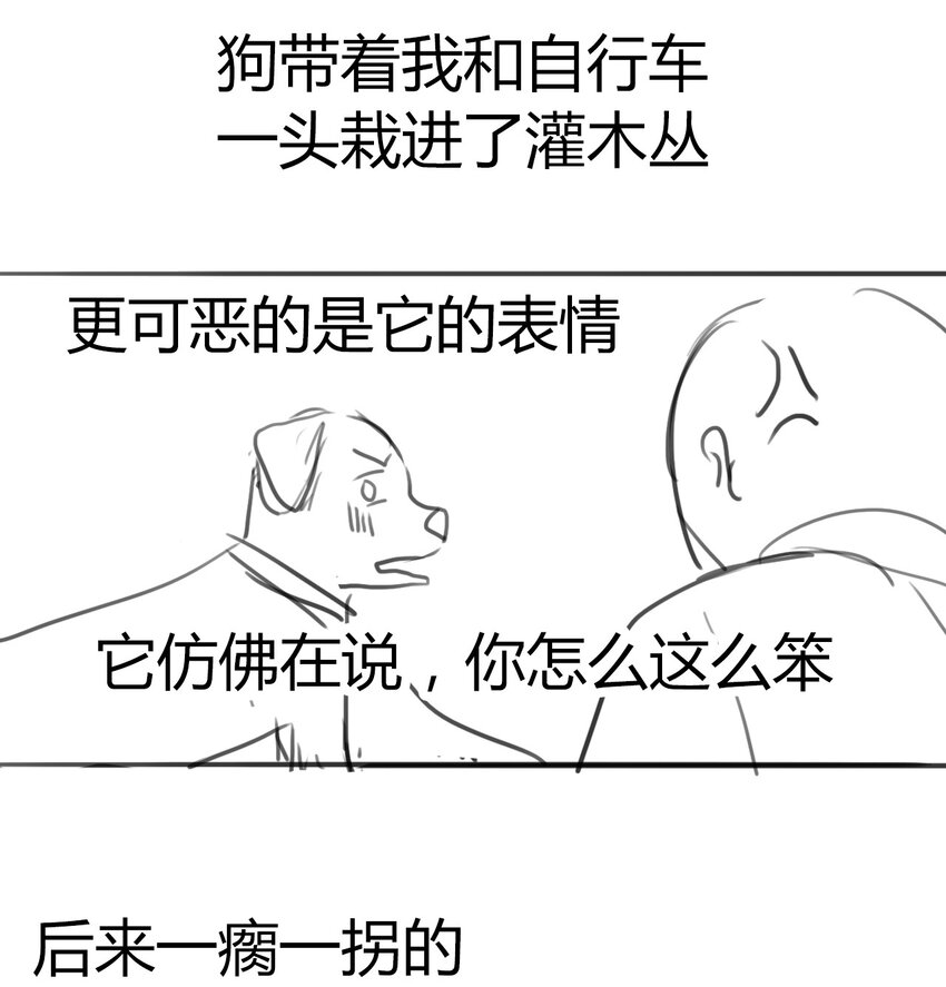 请请请请 假假假假条条条条……8