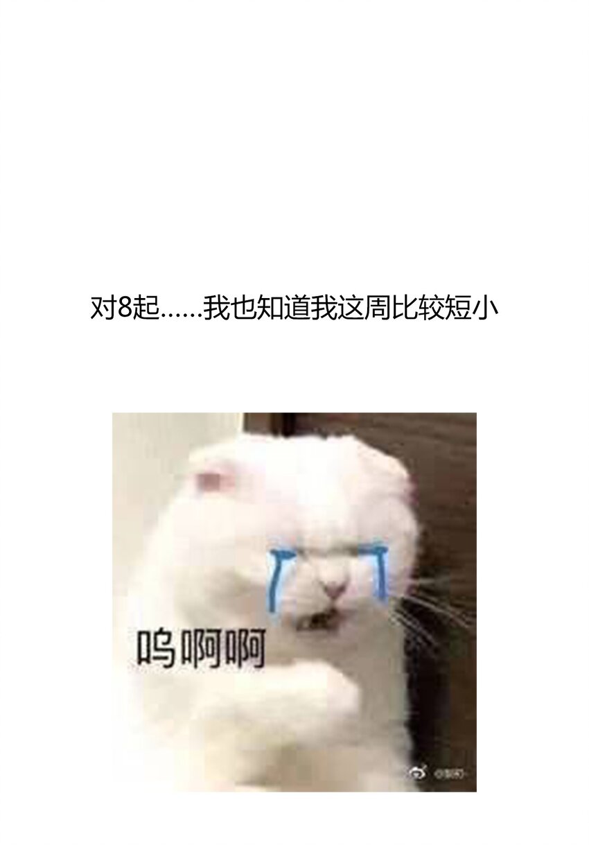 019 都是假的35