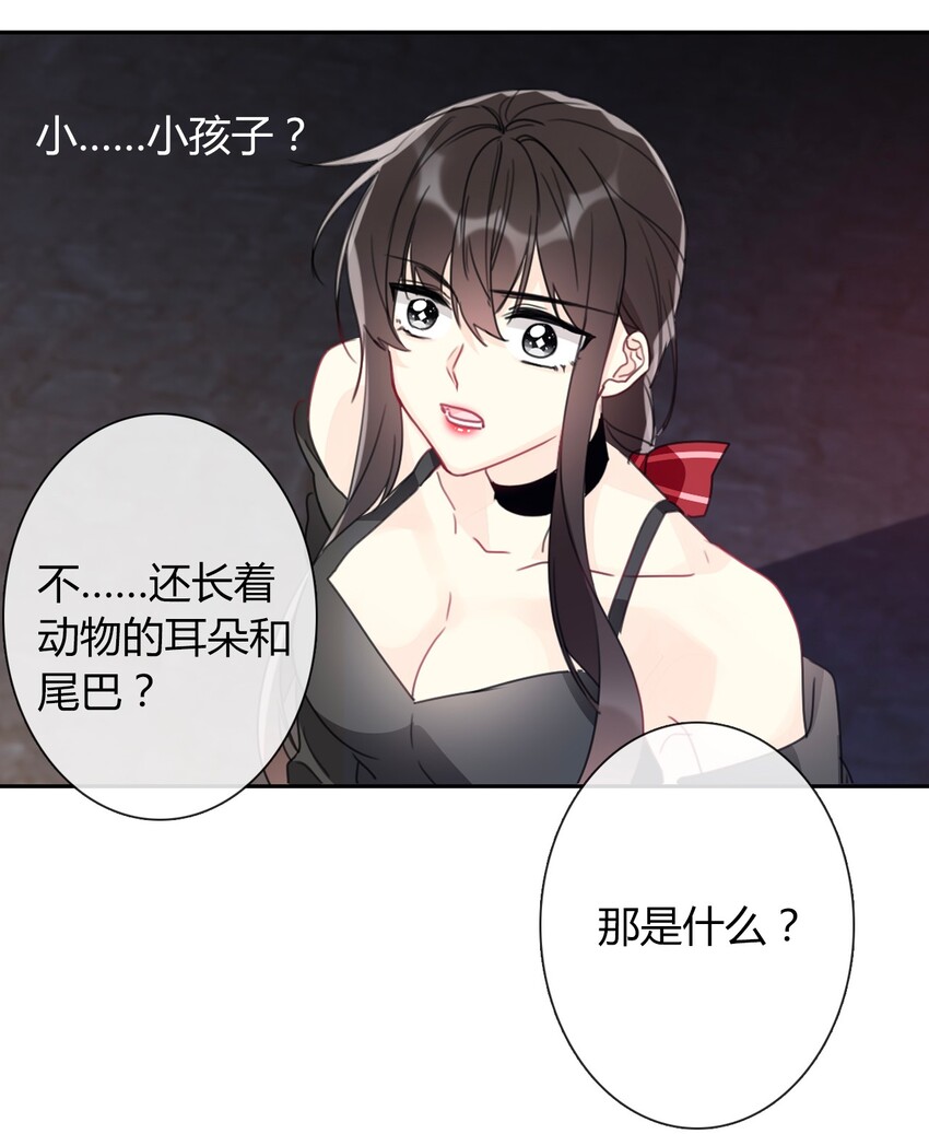019 都是假的5