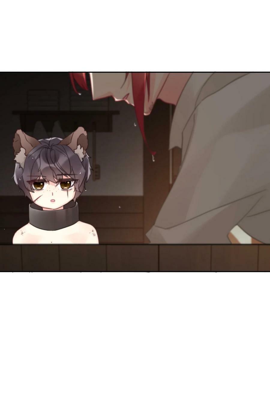 117 突袭拍卖会20