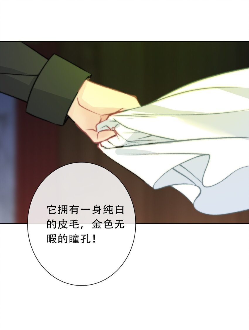 100 源启的过去338
