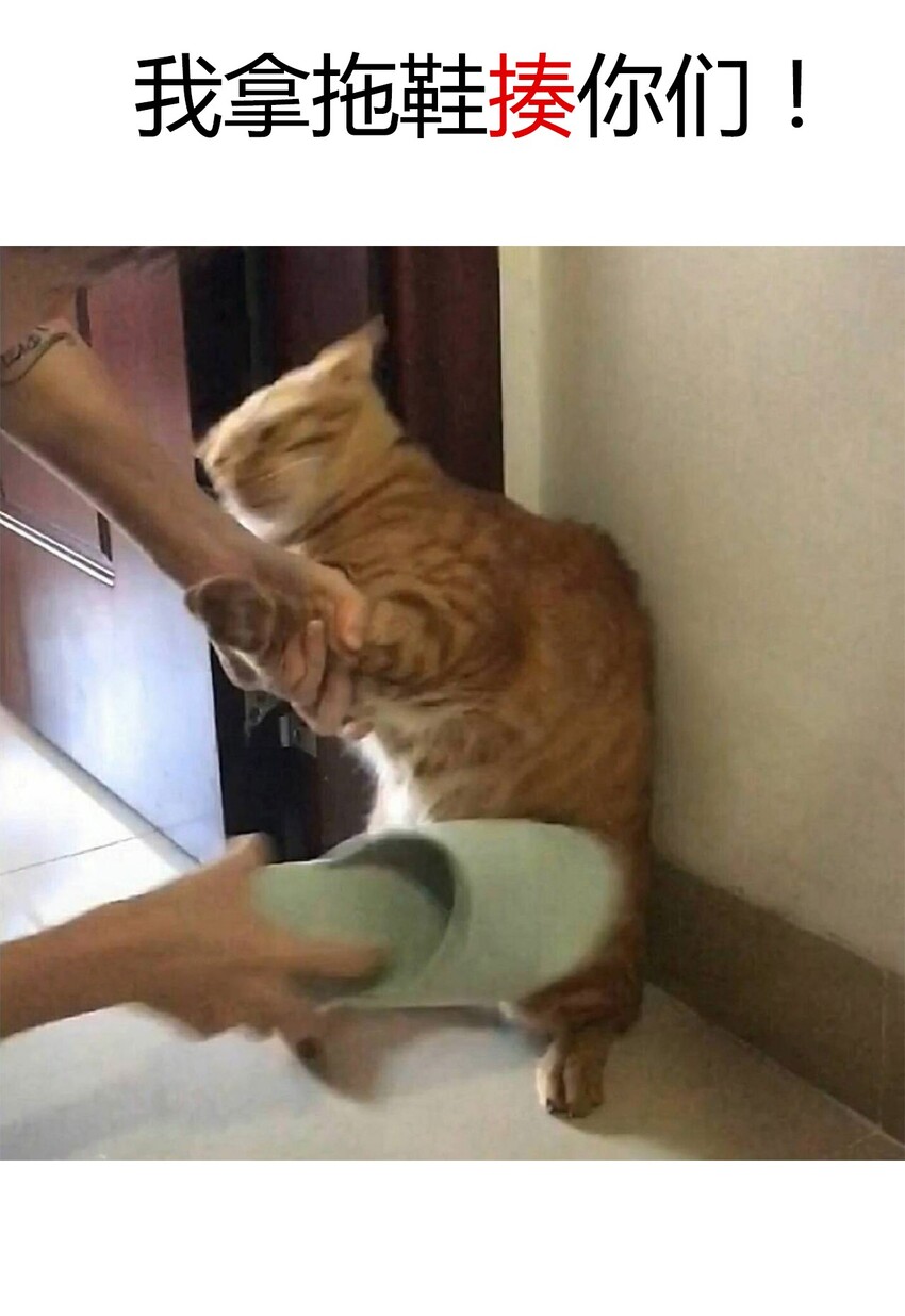 017 她怎么生气了45