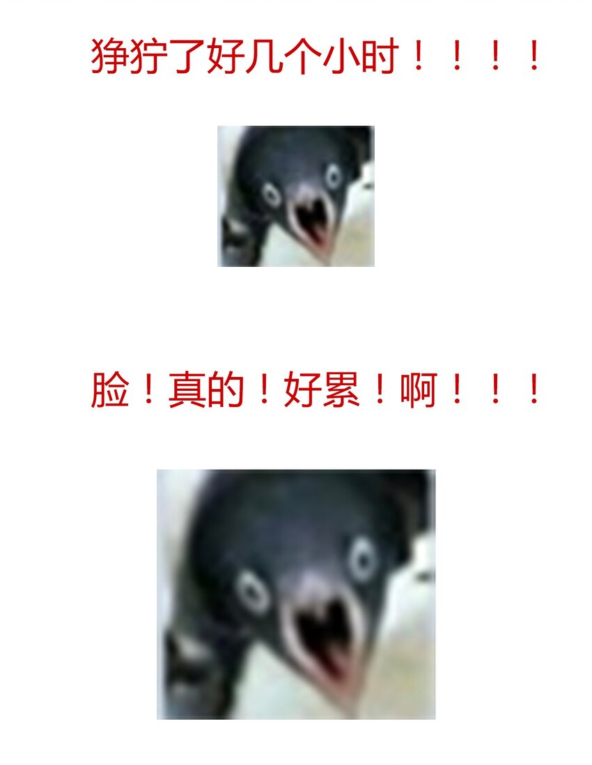 022 女孩们，战斗吧91
