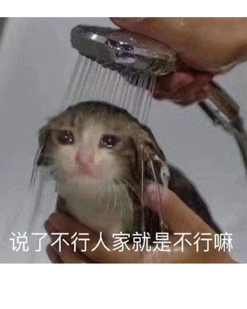 55.1 碎碎念3