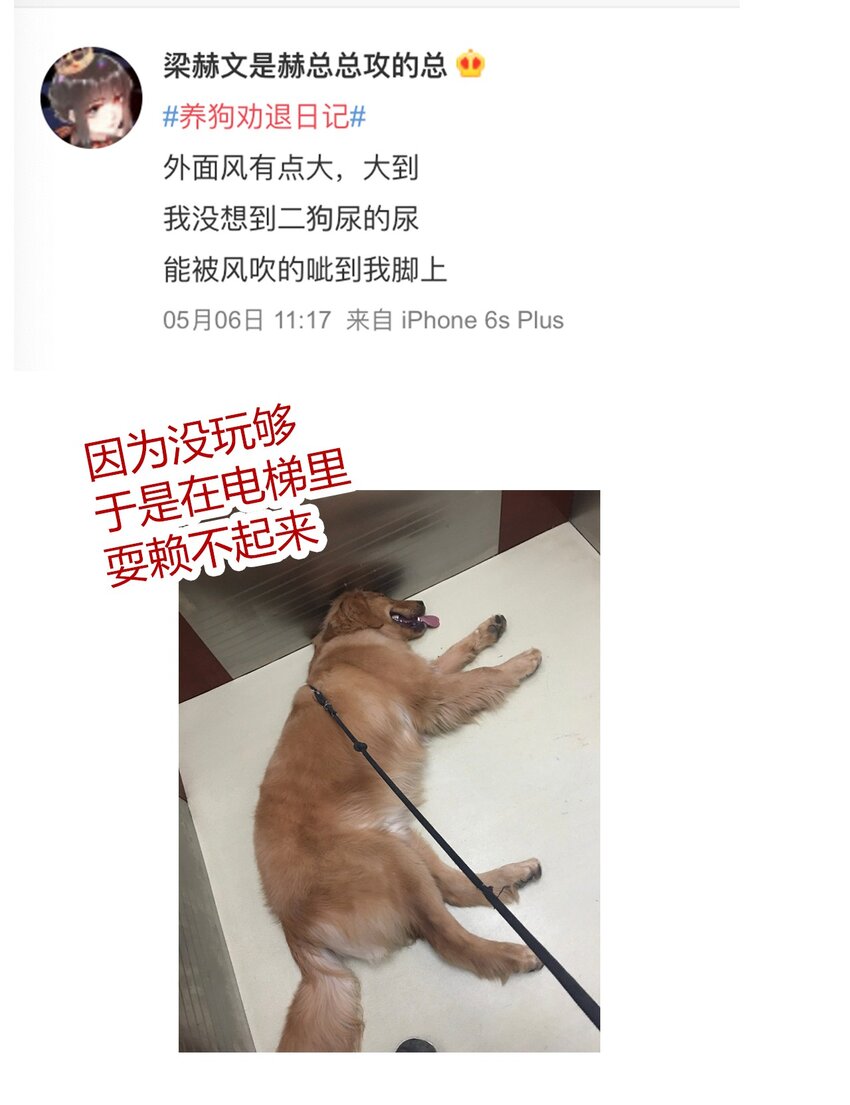 请请请请 假假假假条条条条……3