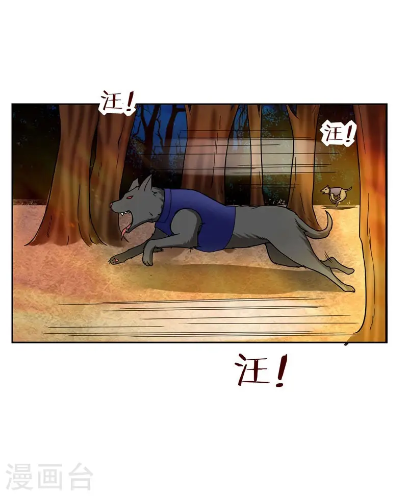 第19话 酒吧遇袭10