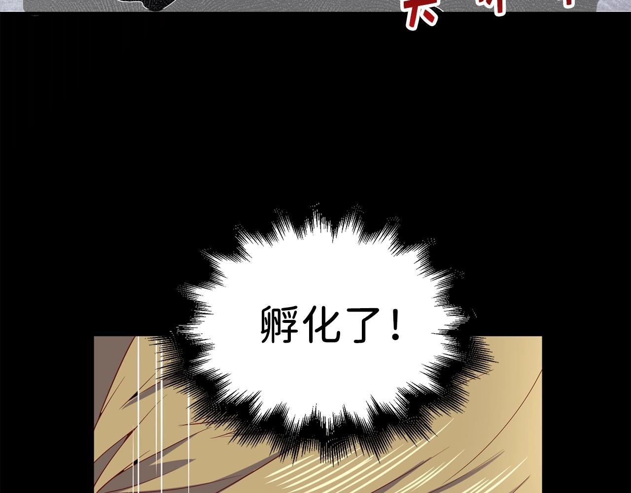 第29话 破壳155