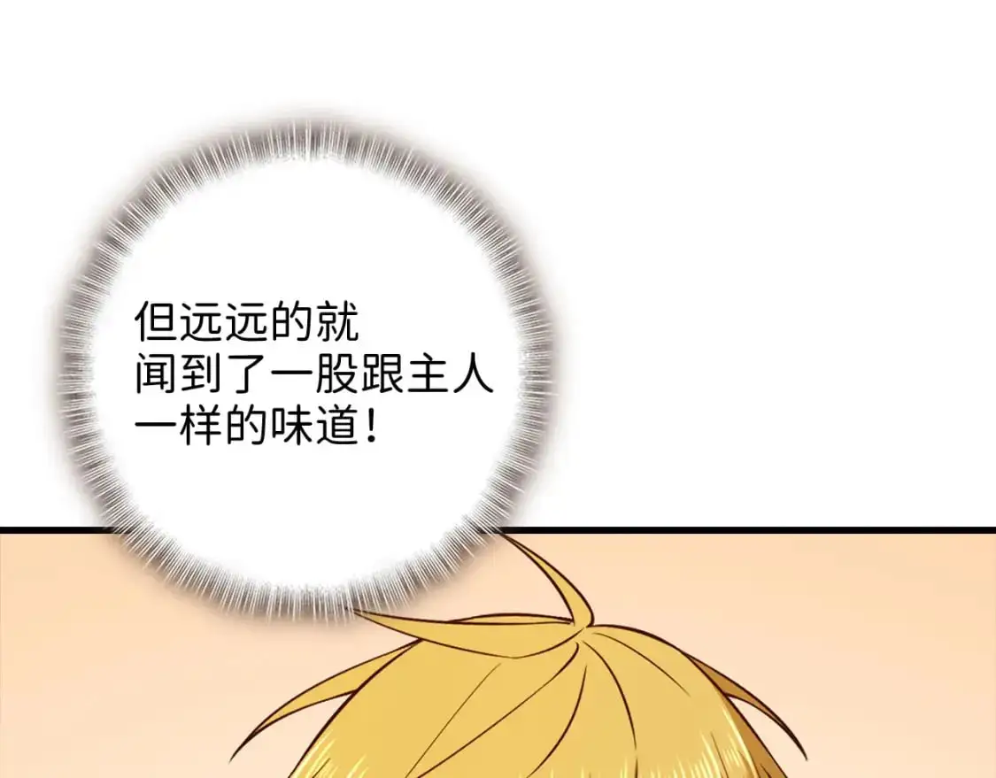 第102话 家人114