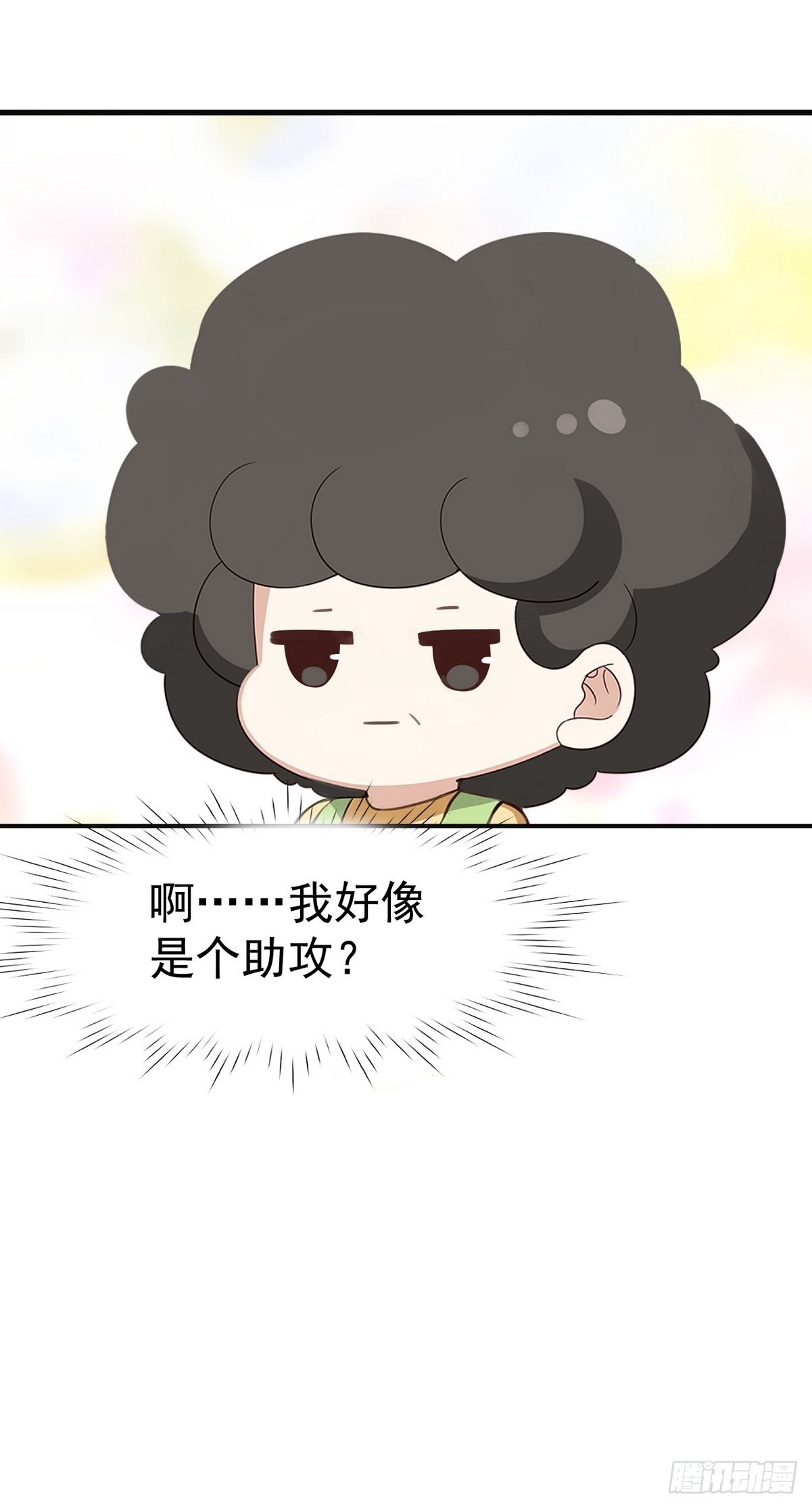 第219话 窝窝的生日52