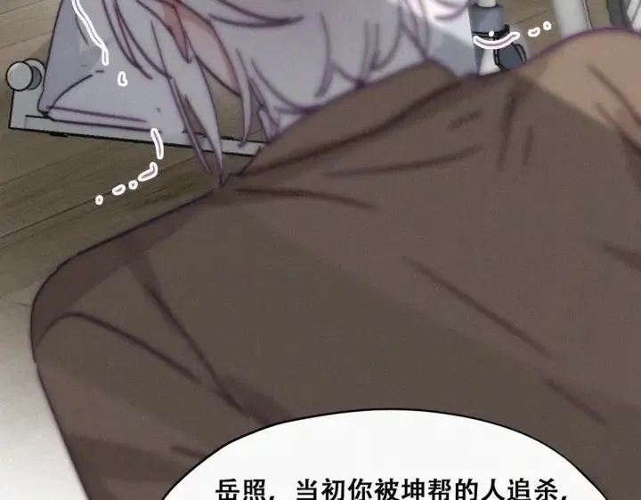 第169话 抓岳照63