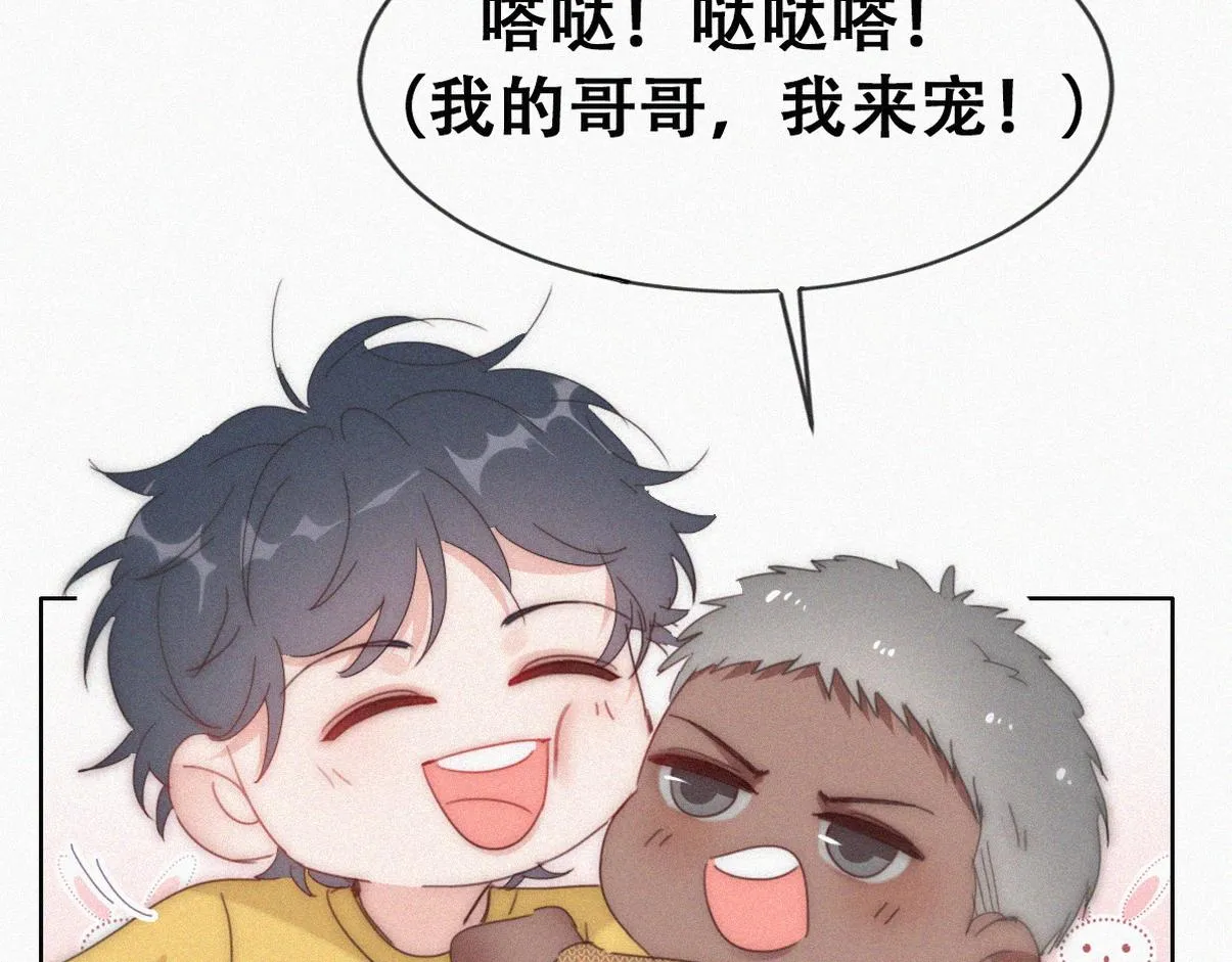 养娃小剧场【哥哥我来宠】6