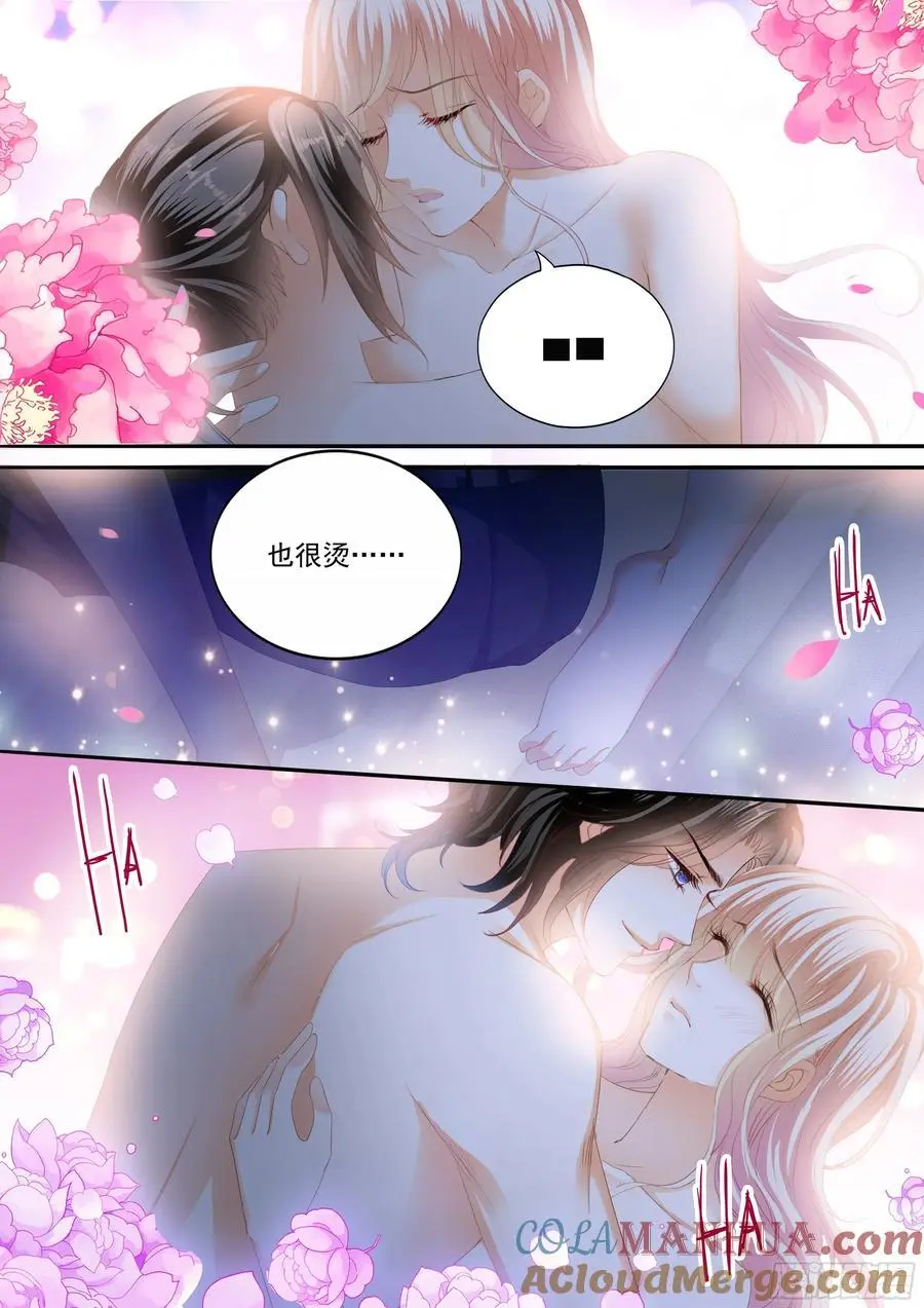 展示主权7