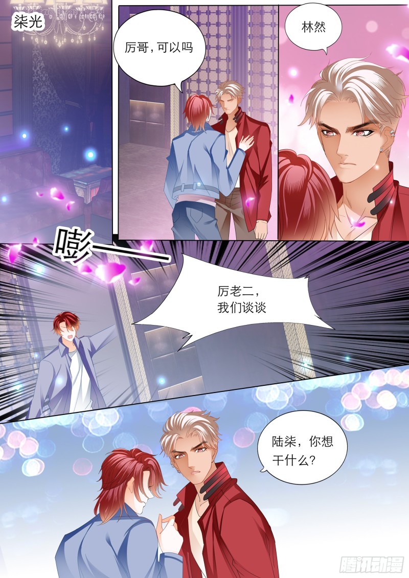 陆柒的真心11