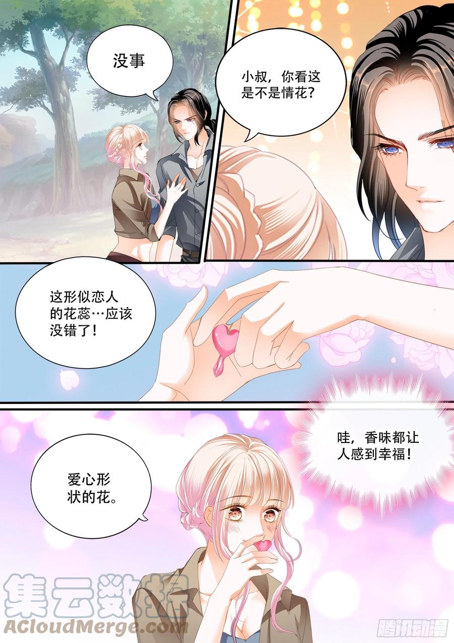 情花飘香10