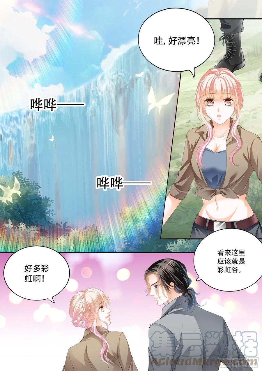 情花飘香6