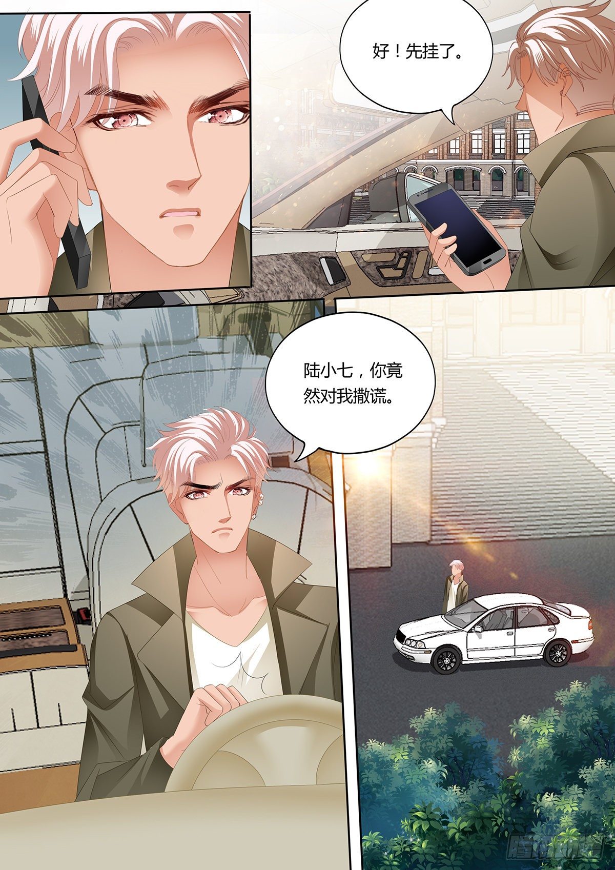我为你打下的江山9