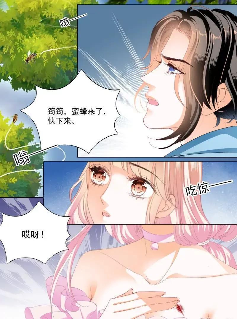涩涩的蜜蜂15