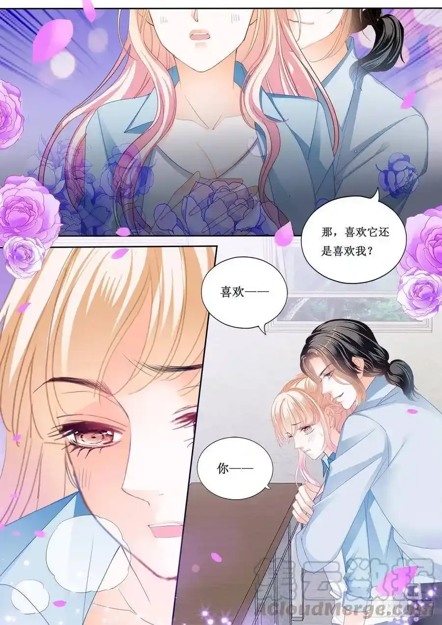 来摸我的枪12