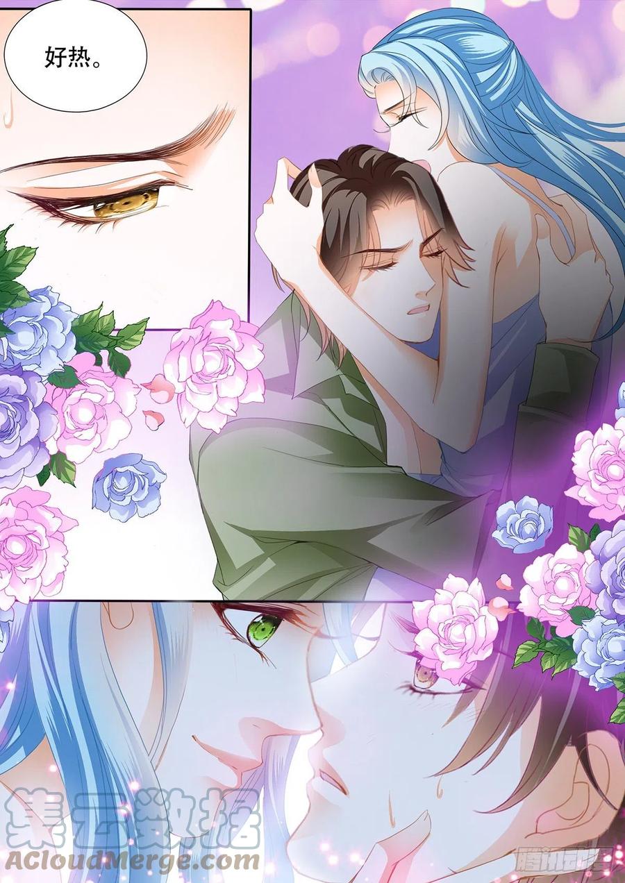 完美的结合7