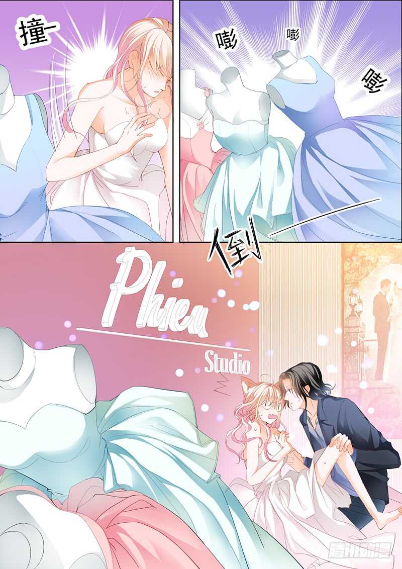 婚礼前奏5