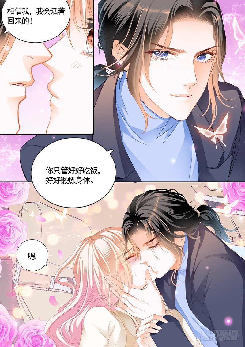 放心等我回来9