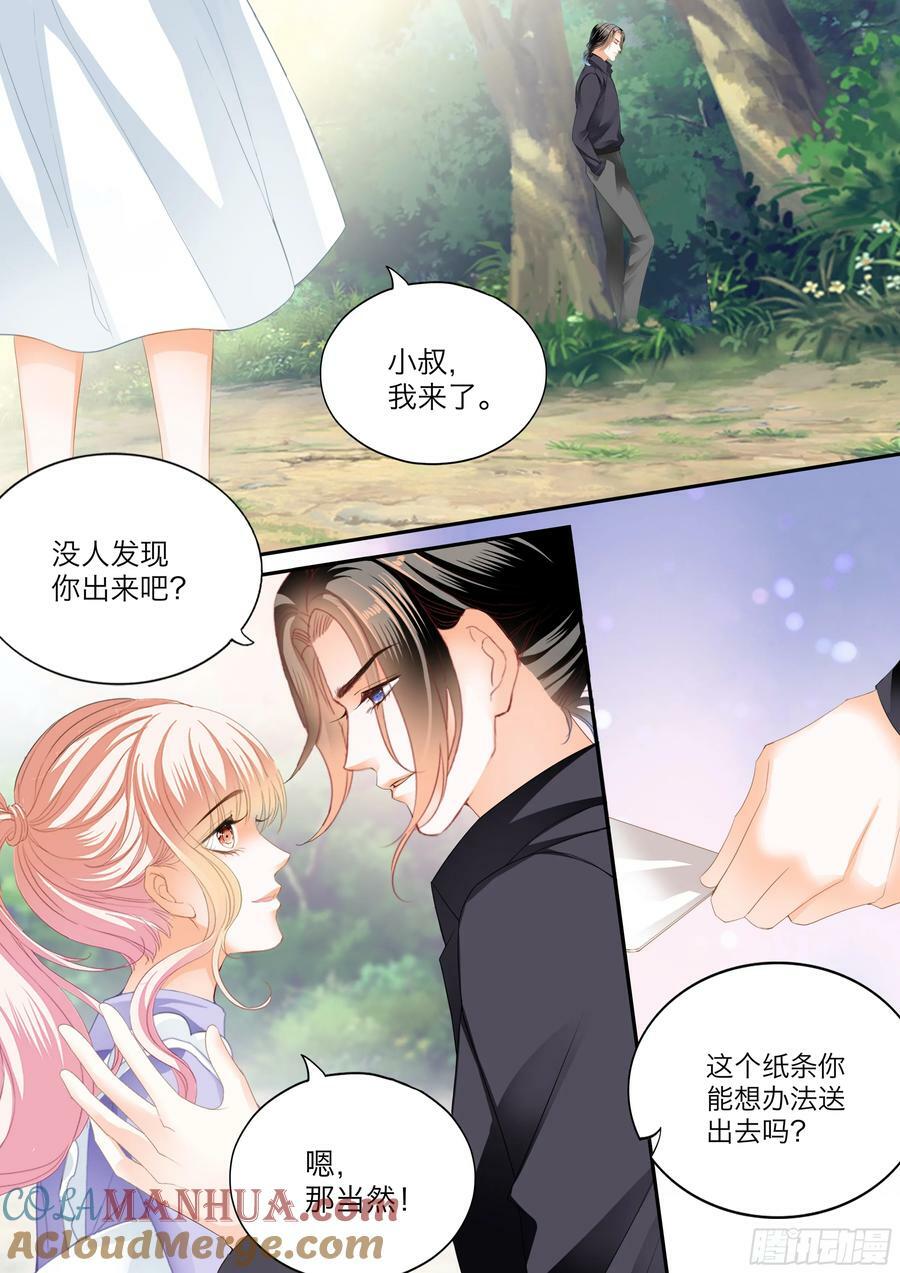 坏坏小叔的妙计12