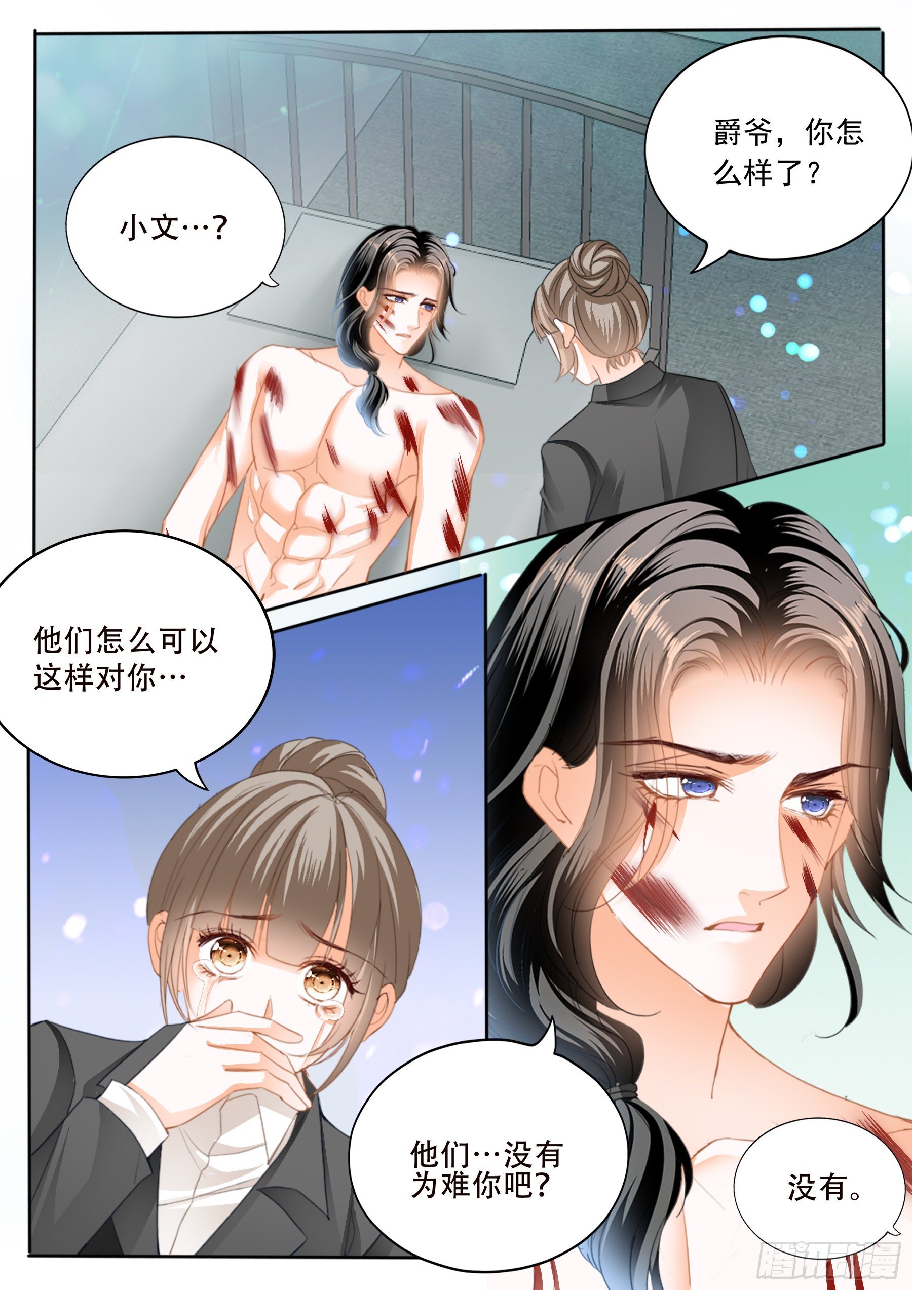 保护爵爷的小文6