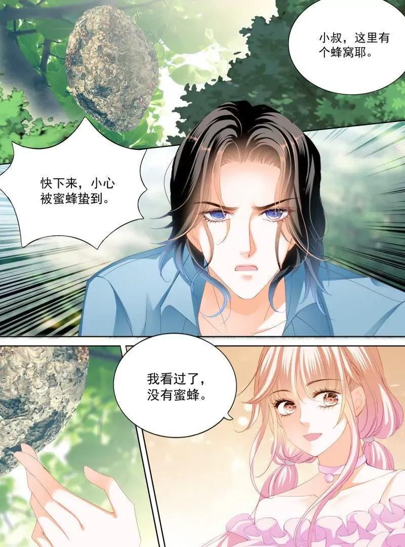 涩涩的蜜蜂11