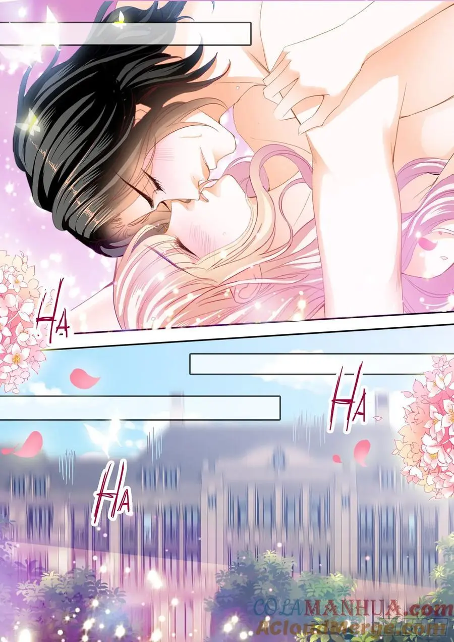 展示主权10