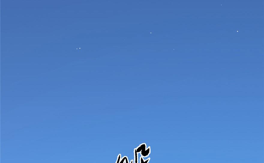 33116