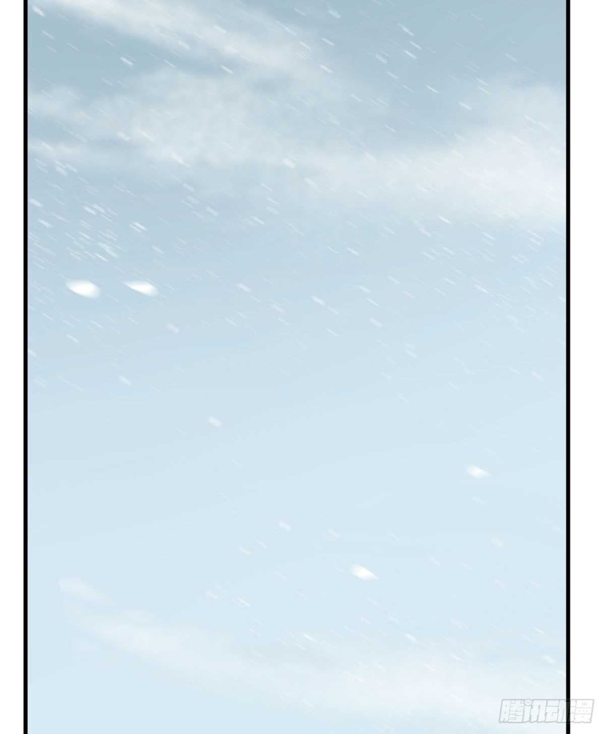 20531