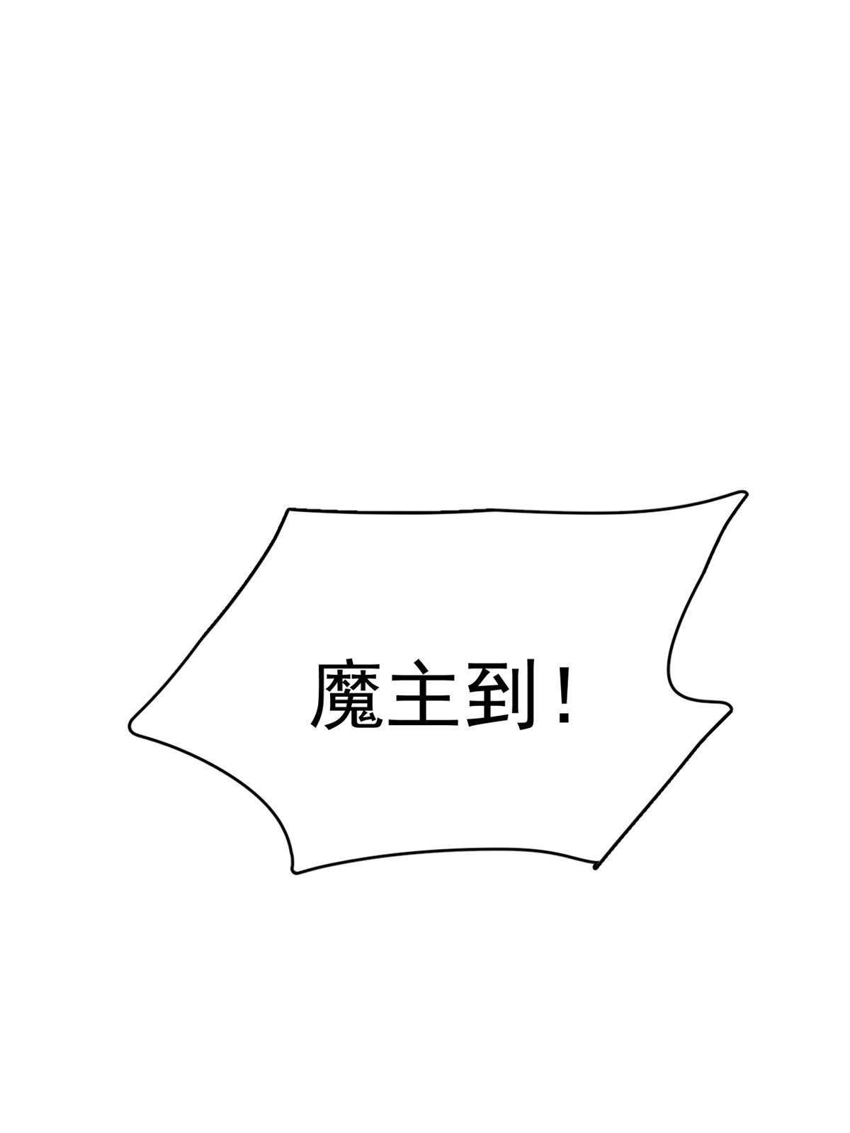 33557