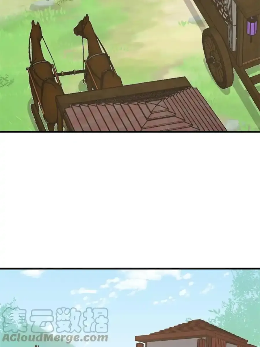 33118