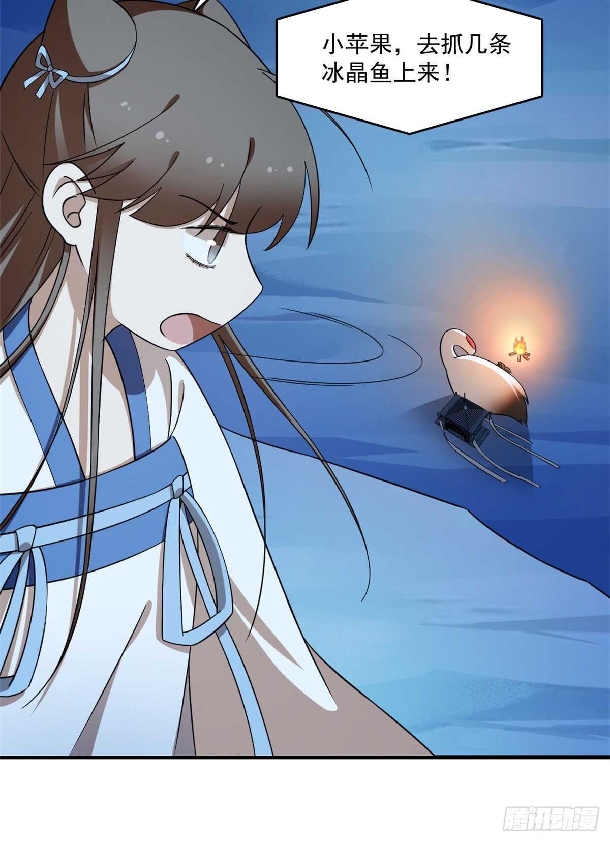 20431