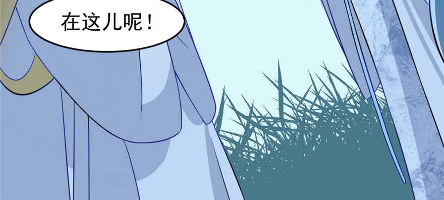 11591