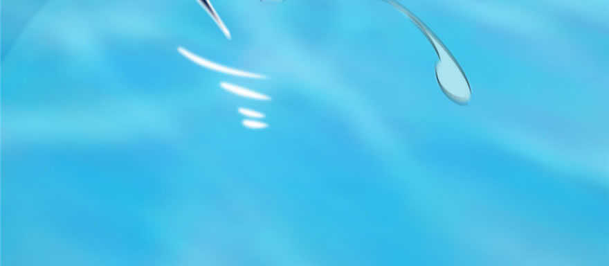 9019