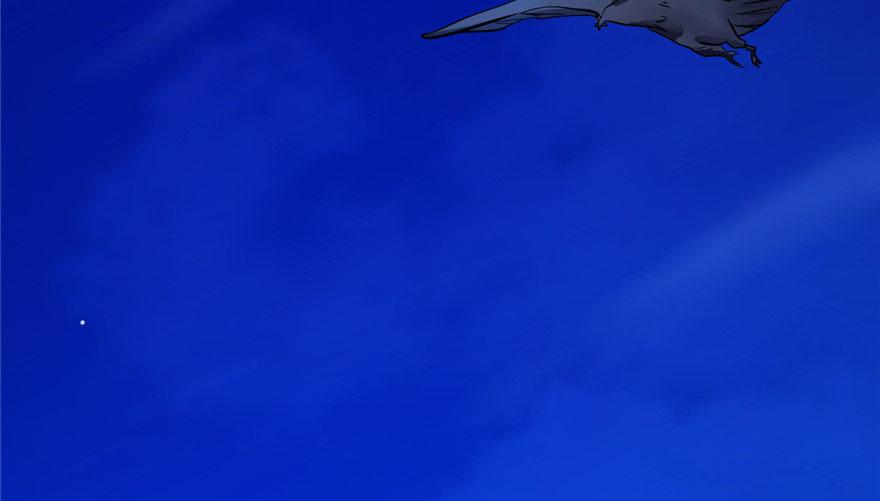 28113