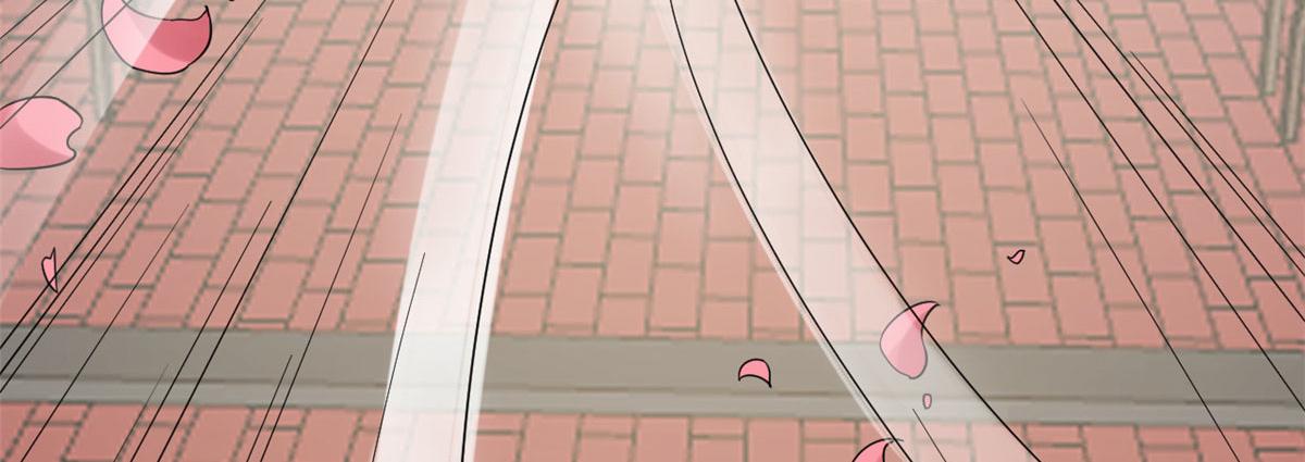 26467