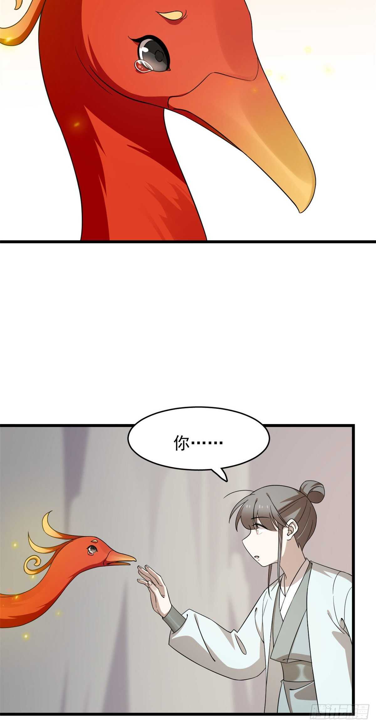 26127