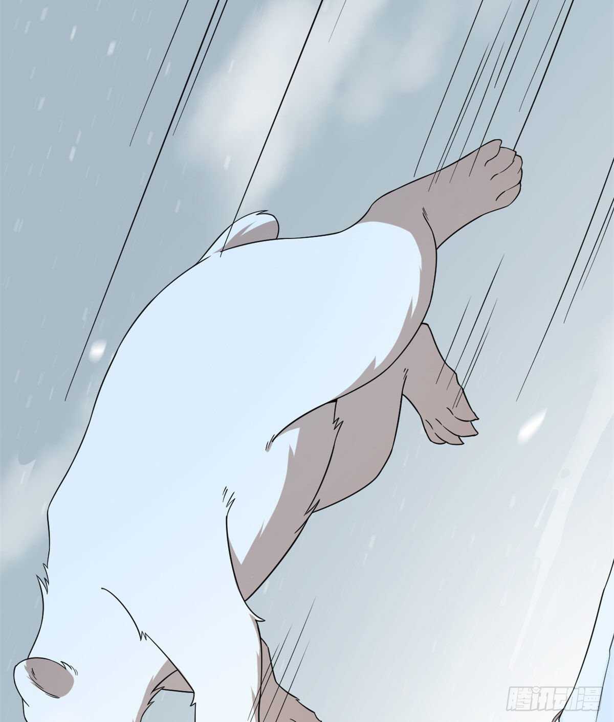 20638