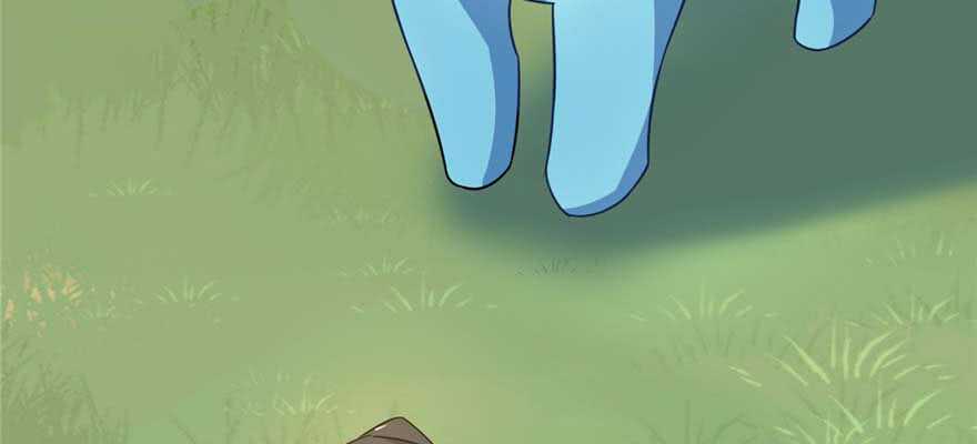 12052
