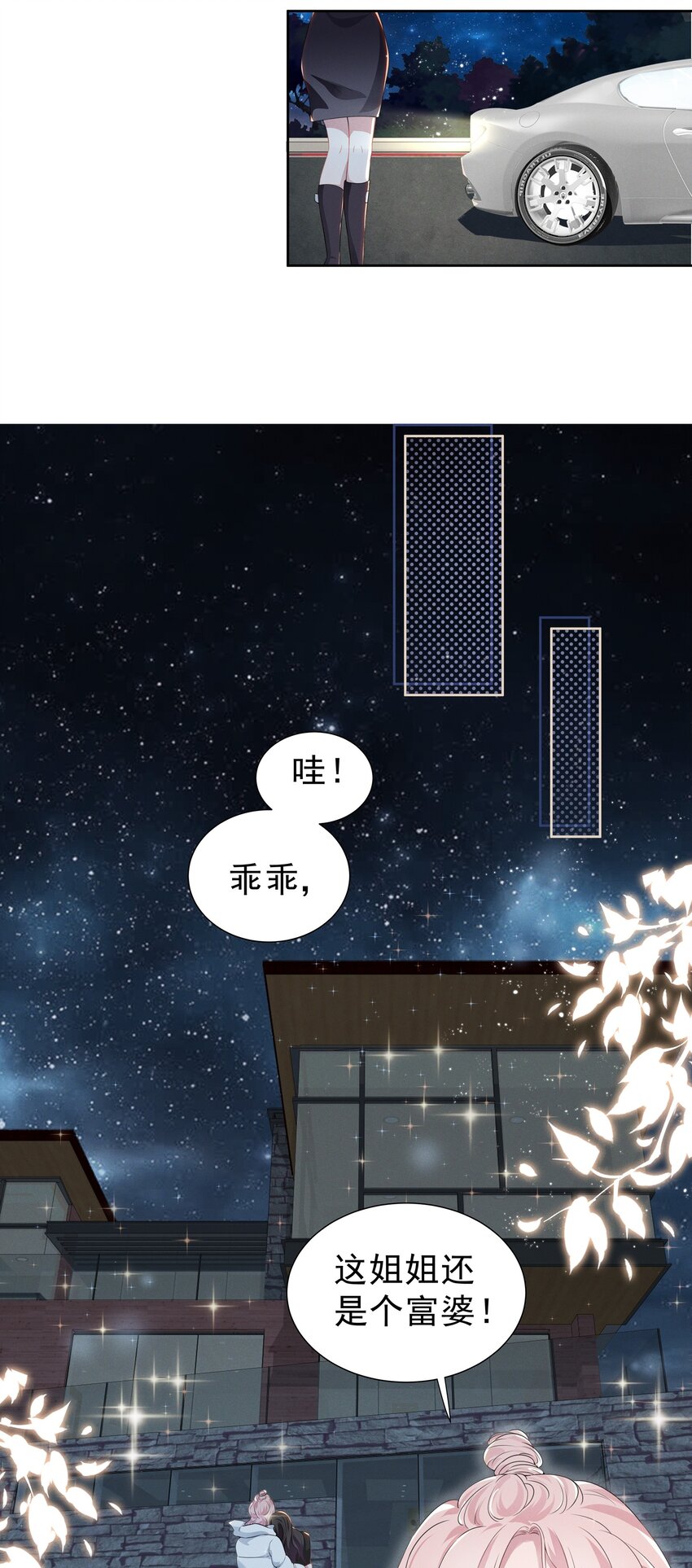 002 这姐姐还是个富婆12