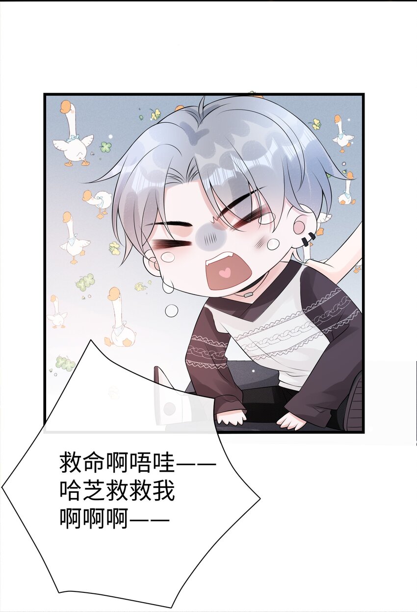 009 这是说了个贯口啊！9