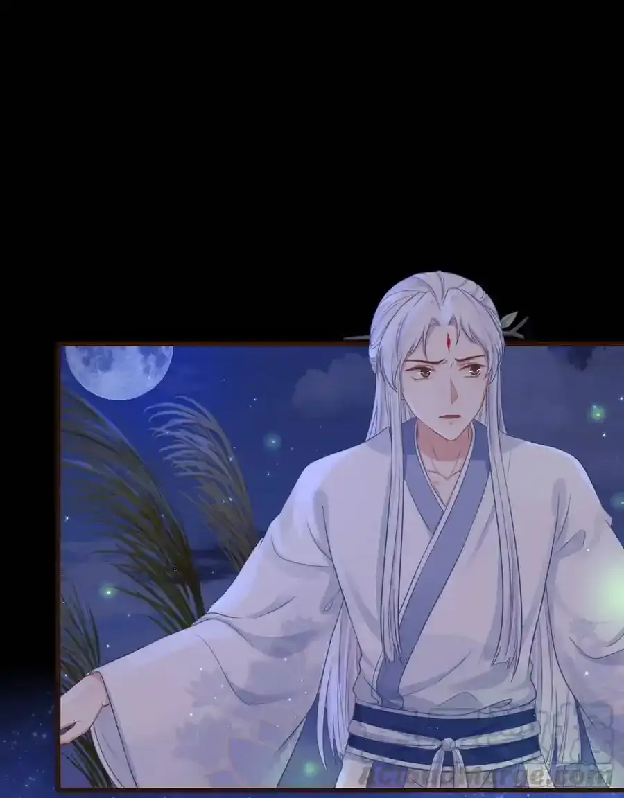 天下至尊41