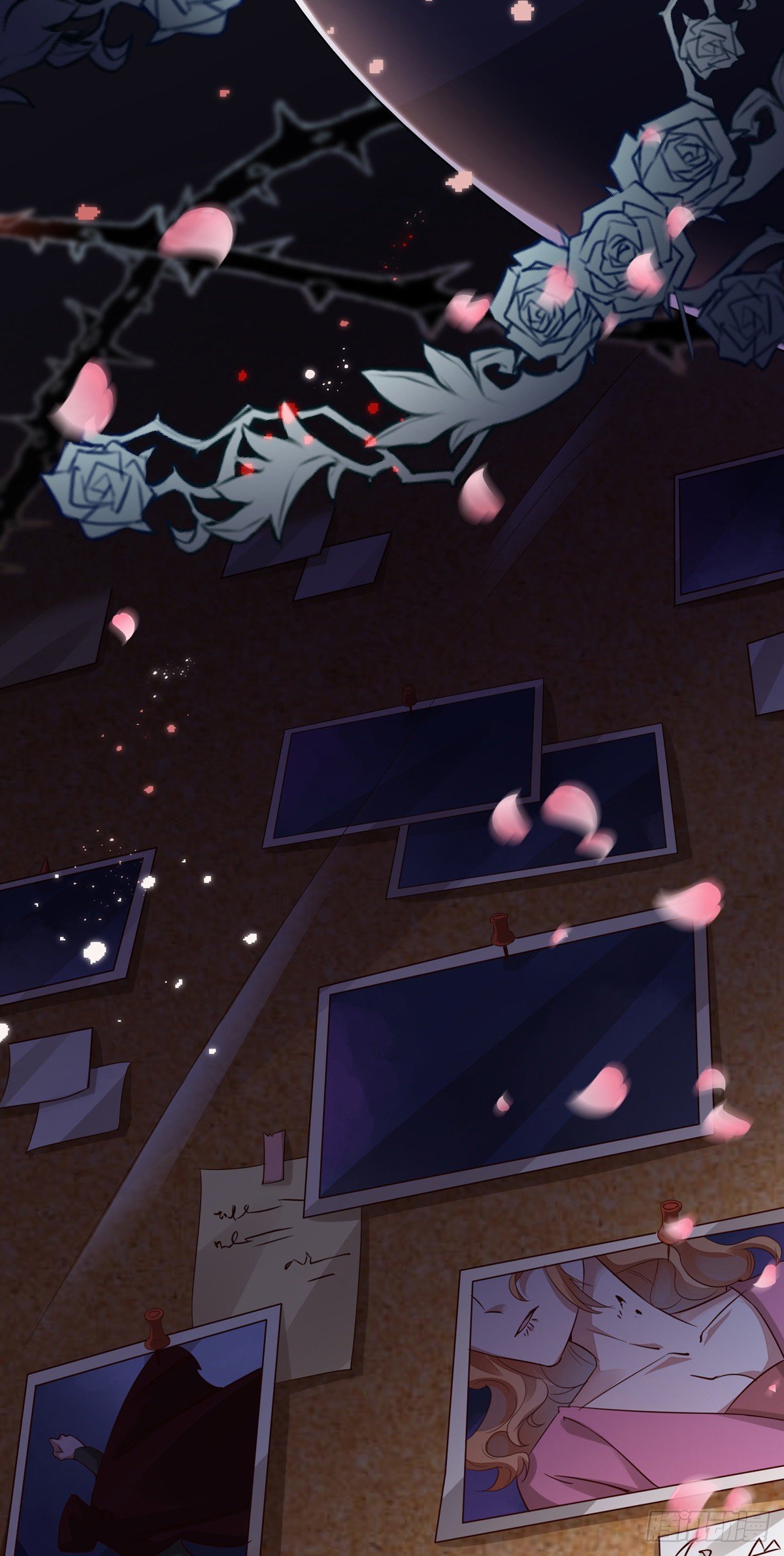 第31话 宠物29