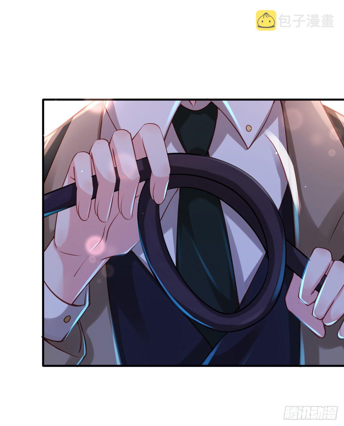 第31话 宠物6